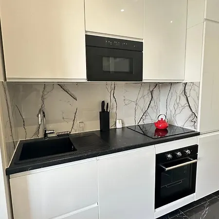 Luxueuse Avenue Des Champs-elysees Apartmán Paříž