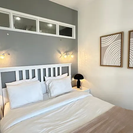 Luxueuse Avenue Des Champs-elysees