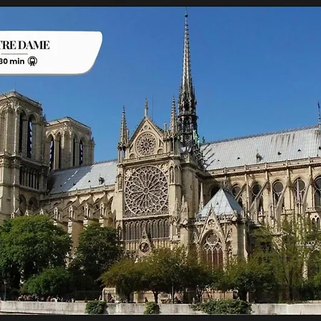 Luxueuse Avenue Des Champs-elysees * Paříž